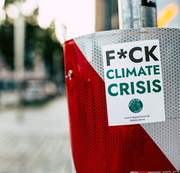 seo campaign for traffic